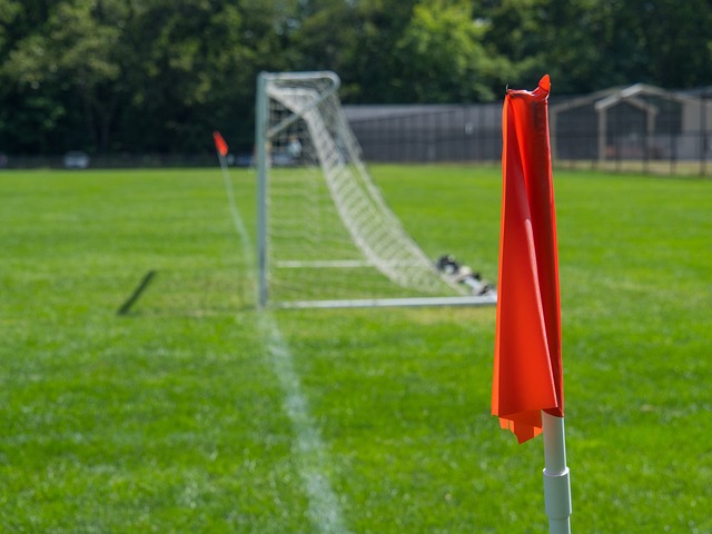 輝煌的戰績 輝煌的戰績