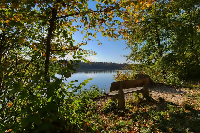 聯賽的表現 聯賽的表現