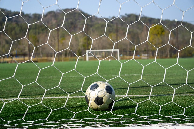 姆换来其他 姆换来其他