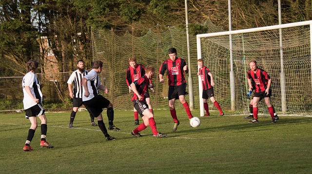 在中文中有 在中文中有