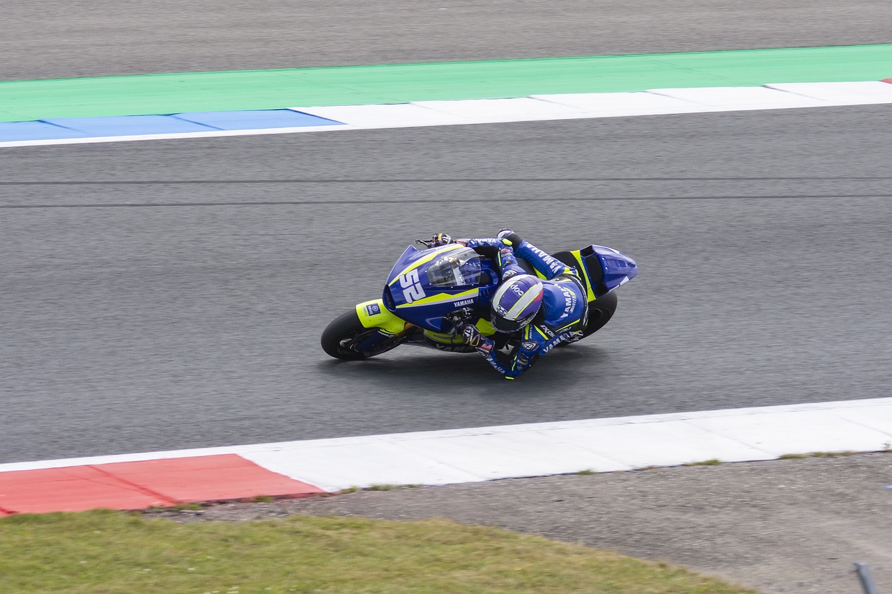 游的蓬勃发 游的蓬勃发